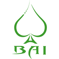 MegaBAI logo