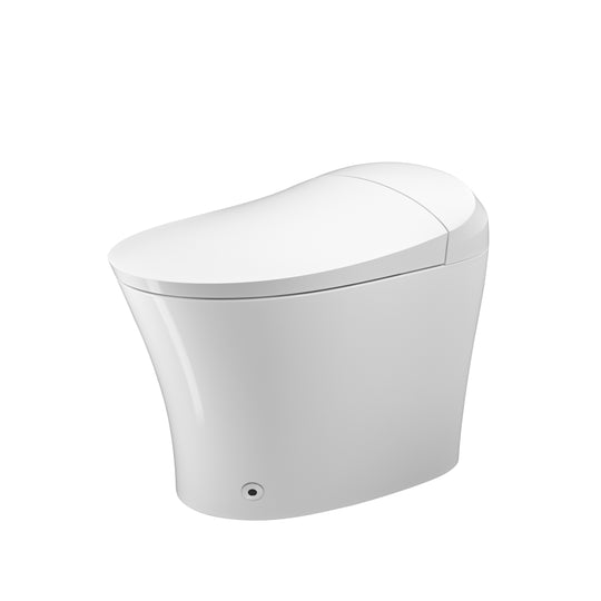 BAI 1002 Contemporary Tankless Smart Toilet
