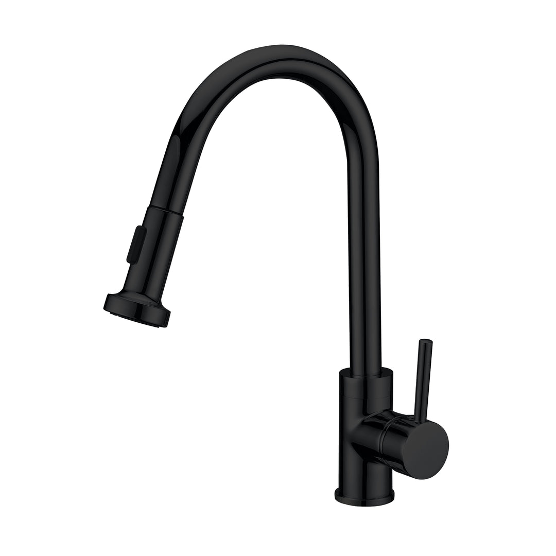 BAI 2616 Single Handle Kitchen Faucet with Pull Down System in Matte Black Finish
