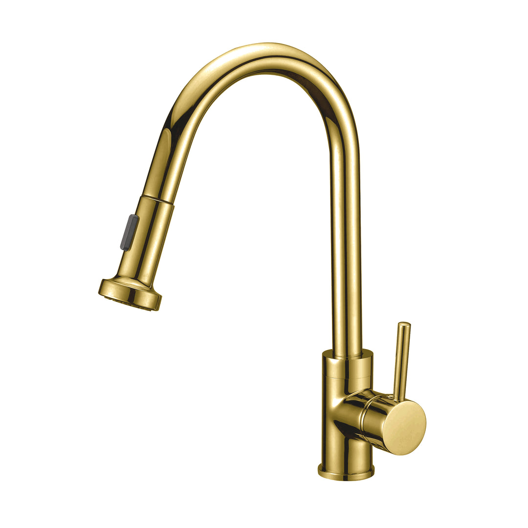 BAI 2617 Single Handle Kitchen Faucet with Pull Down System in Brushed Gold Finish
