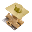 A modern wall-mounted single-handle shower valve trim with a brushed gold square faceplate and cylindrical knob, paired with a polished brass valve body and a dark metal mounting plate, shown on a white background.