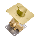 A modern brushed gold single-handle on/off shower valve trim with a brass valve body and a silver metal mounting plate, shown on a solid white background.