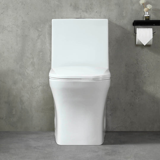 BAI 1007 Contemporary Toilet – One Piece Dual Flush with Soft-Close Seat (10-inch Rough-in)