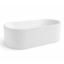 BAI 1602 Acrylic Freestanding Soaking Bathtub 67-inches in Matte White Finish