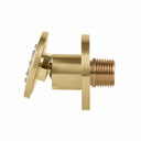 BAI 45003 modern brushed gold adjustable round shower body jet spray with a brass threaded connection, shown on a solid white background side view adjustable.