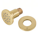 BAI 45003 modern brushed gold adjustable round shower body jet spray with a brass threaded connection, shown on a solid white background everything included.
