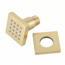 BAI 45013 modern brushed gold adjustable square shower body jet spray with a brass threaded connection, shown on a solid white background everything included.
