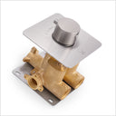 A brass and stainless steel concealed shower mixing valve assembly with a cylindrical valve and mounting plates, shown on a clean white background.