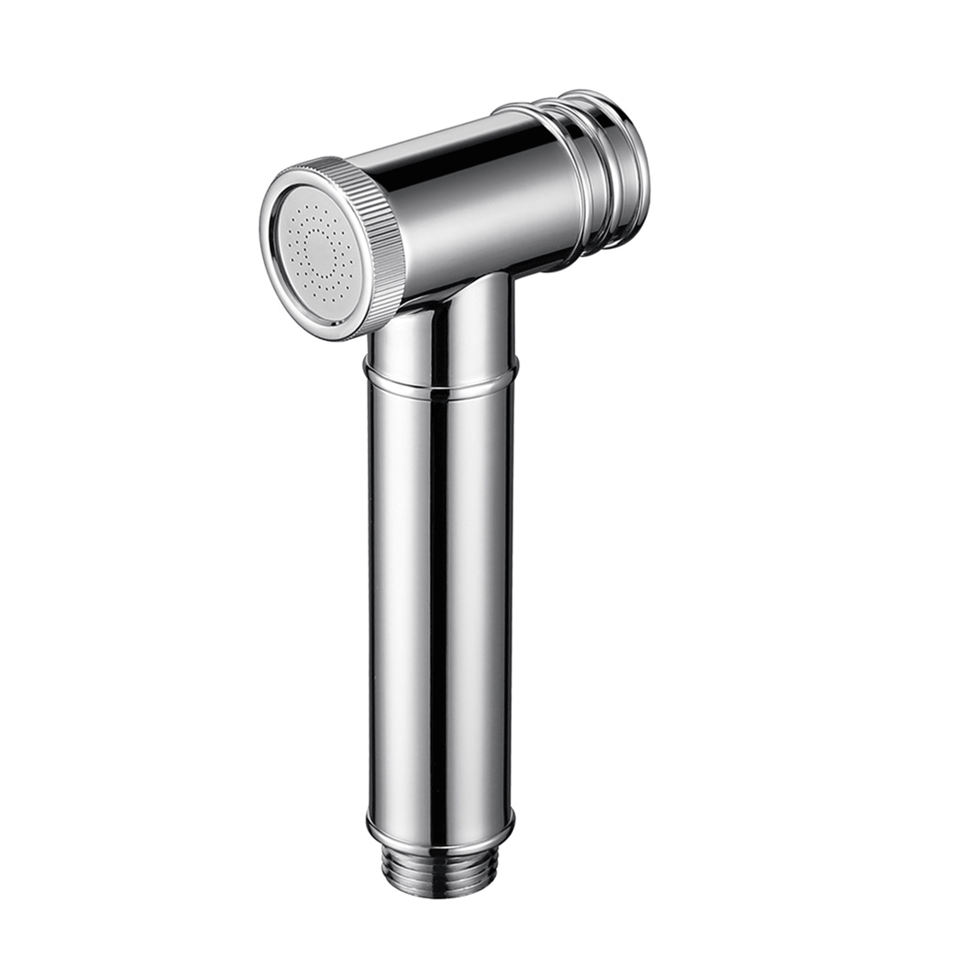BAI 0195 Wall Mounted Handheld Shower Holder with Integrated Hose  Connection in Polished Chrome Finish
