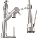 BAI 0630 Single Handle Kitchen Faucet with 2 Spouts and Pull-Down Spray in Brushed Finish