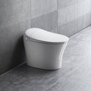 BAI 1002 Contemporary Tankless Smart Toilet