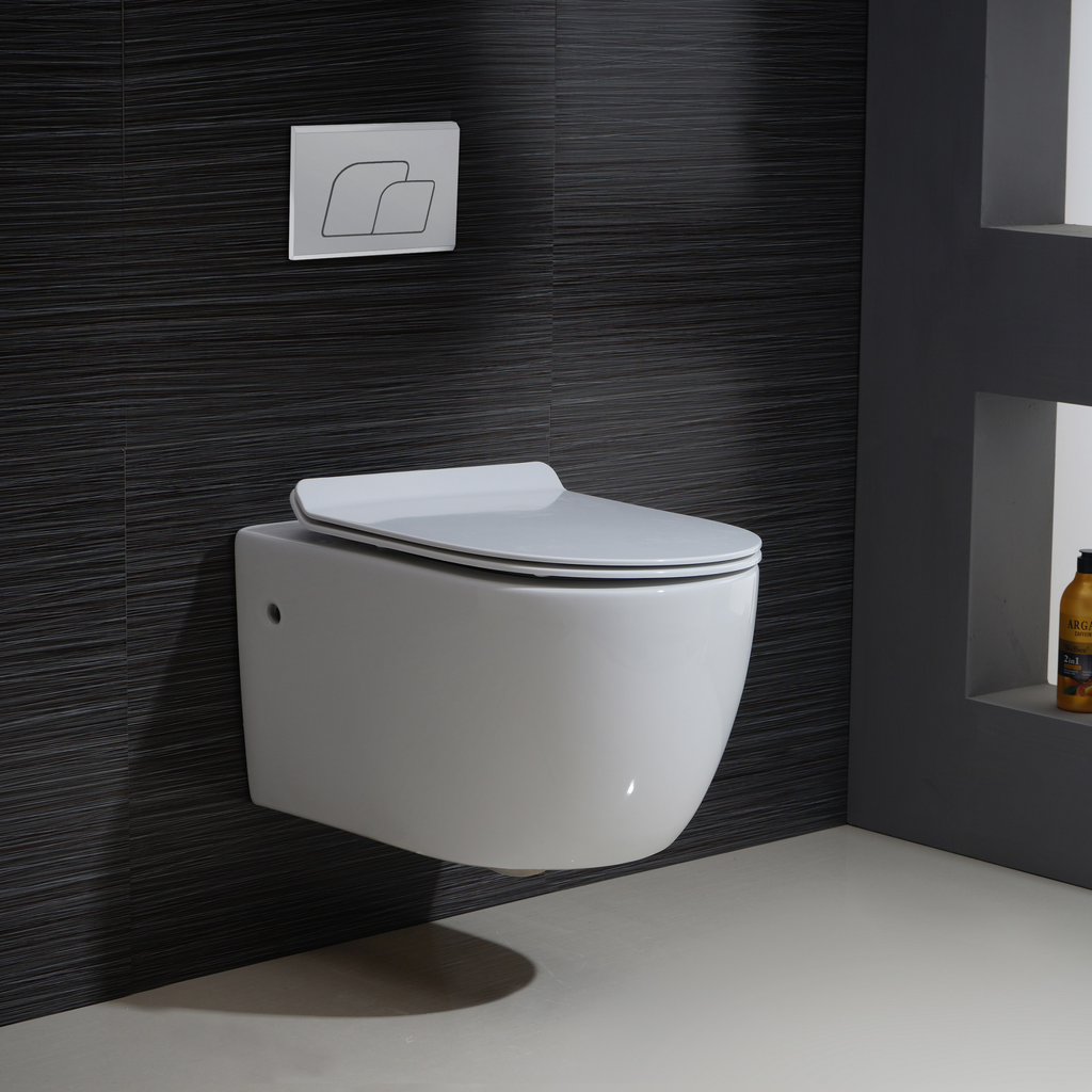 BAI 1016 Contemporary Wall Hung Toilet & Carrier Tank – Dual Flush with Soft -Close Seat