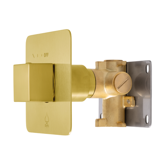 BAI 2123 Concealed 1 Function ON/OFF Shower Valve in Brushed Gold Finish