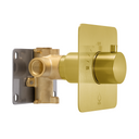 A modern brushed gold single-handle on/off shower valve trim with a brass valve body and a silver metal mounting plate, shown on a solid white background.