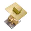 A modern wall-mounted on/off shower valve trim with a brushed gold square control faceplate and lever, attached to a brass valve body and a silver metal mounting plate, shown on a white background.