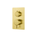 A wall-mounted two-handle pressure balance shower valve trim set with a brushed gold faceplate, controls, and brass connection ports on the side, shown against a plain white background.
